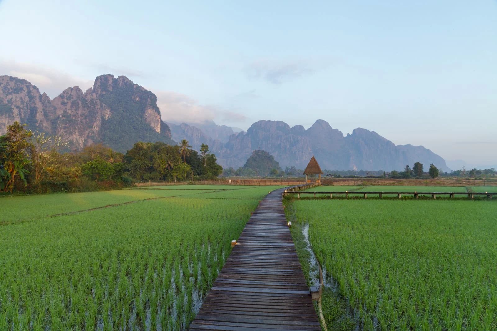 Rice fields and mountains in Vang Vieng, Laos