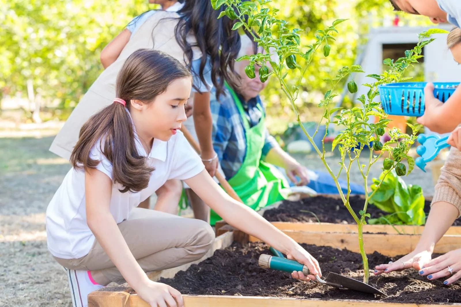 School children planting vegetables during a farm visit