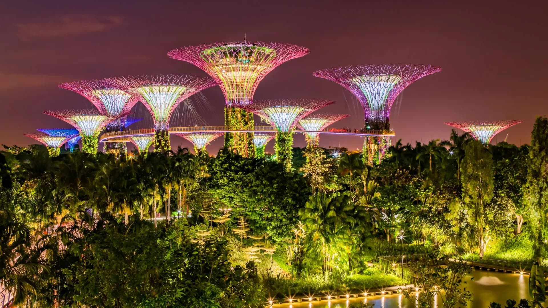 Gardens by the Bay at night in Singapore