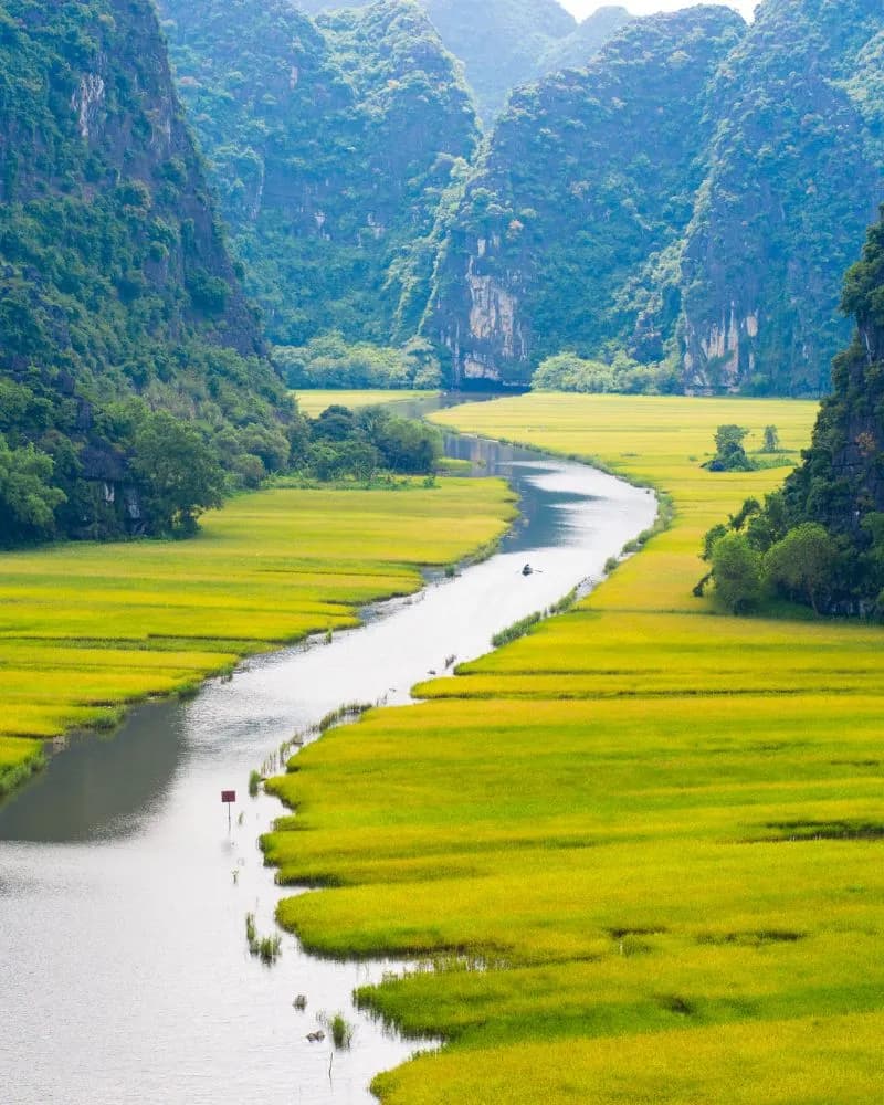 Rice field and river in Ninh Binh, Vietnam